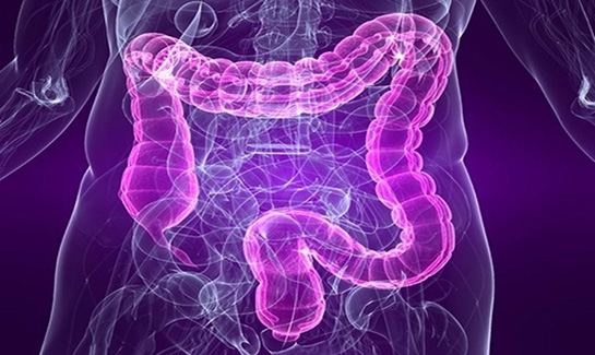 Kıl Kurdu Nasıl Dökülür